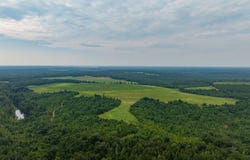 0 County Road 90, Lumpkin, GA 31815
