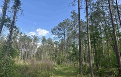 Hwy 67, Malvern, AR 72104