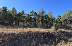 938 Snow Top Dr, Drake, CO 80515