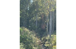 405 Hollywood Drive lot: 66, Corbin, KY 40701