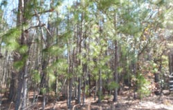 0 Highway 119 North, Ellabell, GA 31308