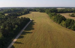 TBD Tobacco Land Road, Dillon, SC 29536