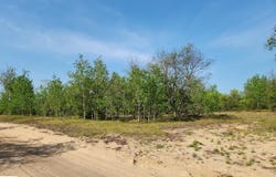 4935 LINDSEY LANE, GAYLORD, MI 49735