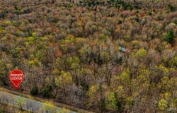 M-123 Highway, Newberry, MI 49868