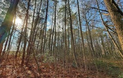 213 Saddlewood Drive, Goldsboro, NC 27354
