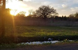 1180 Rose Hill Road, Terrell, TX 75160