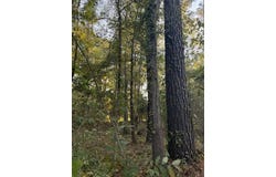 Twin Vista Dr., Many, LA 71449