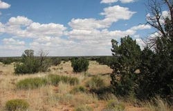 6251 Dry Pasture Run Lot 216, Heber, AZ 85928