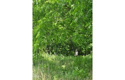 3.35 Oakwood Road, Midway, TN 37809