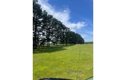 1550 Cattlemens ROW, Lockhart, TX 78644