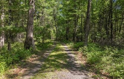 S10150 County Road H, Fairchild, WI 54741