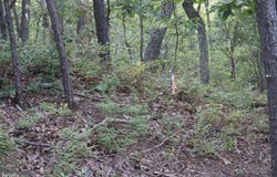 1504 DUFFEY DRIVE, HAYMARKET, VA 20169
