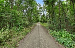 10625 County Road 476, Broaddus, TX 75929