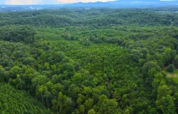 Tbd Airport Rd, Bassett, VA 24055