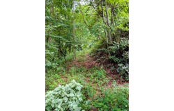 #3 Forest Drive, Maggie Valley, NC 28751