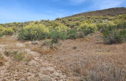 42652 N 22ND Street, New River, AZ 85087