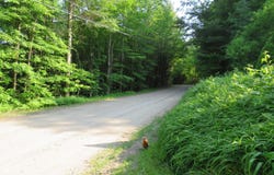 239 Bowlers Hill Road, Gloversville, NY 12078
