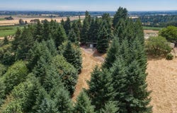 19601 NE TRUNK RD, Dundee, OR 97115