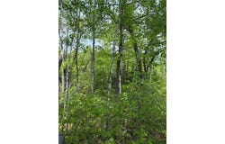 Tbd Range Line Rd, Nickerson Twp, MN 55756