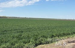 S Robinson Rd., Kuna, ID 83634