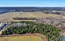 15 ACRES Owensby Way, Trinity, AL 35673