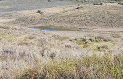 Divide (Mont's Draw) Road, Gateway, CO 81522