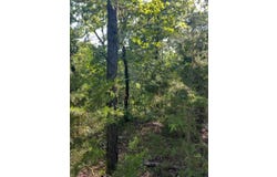 Tract 9A SE 1083 Road Ave, Red Oak, OK 74563