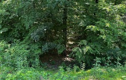 17201 INTERSTATE Drive, DUMFRIES, VA 22026