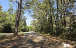 Third Street, Montrose, AL 36559