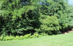 607 Tomahawk Court, Smithville, MO 64089