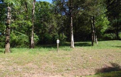 ADAM Loop, Bath Springs, TN 38311