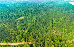 Fields Farm Road, Millen, GA 30442