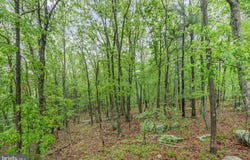 55 SCARLET WAY, BIGLERVILLE, PA 17307