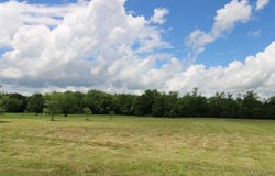 38 S Farm View Lane, Pike Road, AL 36064