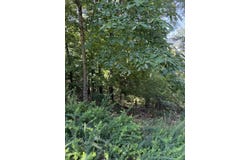 1579 Dallas Court, Ranger, GA 30734