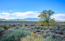 Weimer Rd, Taos, NM 87571