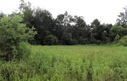 2.8 ac Hwy 90, Devers, TX 77575