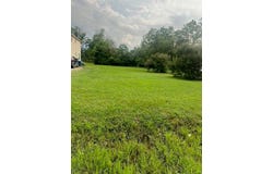 420 Campbell Street, Terrell, TX 75160