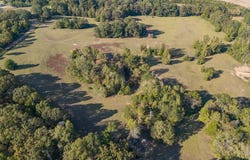 County Road 313, OXFORD, MS 38655