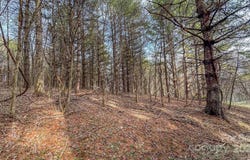 Crestview Drive W, Creston, NC 28615
