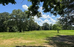 7001 Co Rd 203, Dothan, AL 36301
