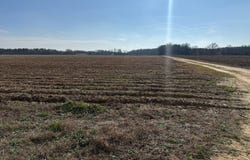 000 Burke Rd, Rayville, LA 71269