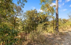 Lot 26 Peaceful  PL, Harrison, AR 72601