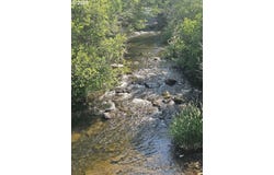 Olson RD, Centerville, WA 98613