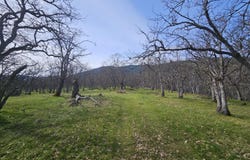 0 Hwy 66, TL 1402, Ashland, OR 97520