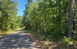 TBD Dallas 301, Carthage, AR 71725
