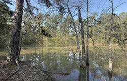 1314 Shoemaker Road, Violet Hill, AR 72584