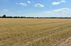 0 S Highway BB, East Prairie, MO 63845