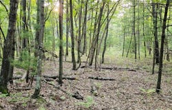 W Bauer Road, Black River Falls, WI 54615