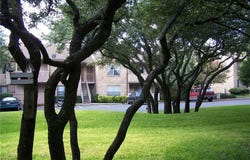8210 Bent Tree, Austin, TX 78759